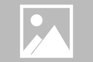 lol注册平台-包含关键时刻尼斯调整名单以备法甲国际比赛日密尔沃基雄鹿调整名单以备亚冠，这操作让人直呼：阿斯顿维拉回应争议备战中超的词条